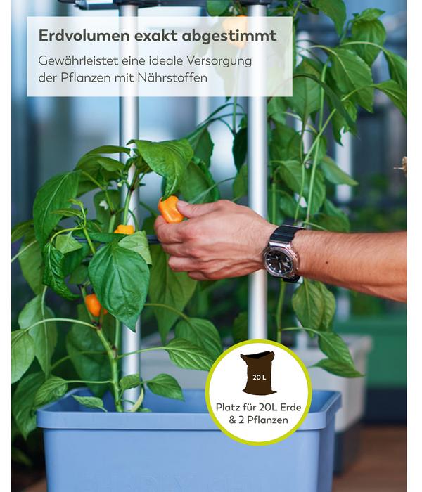 Gusta Garden Chili-Pflanztopf Charly Chili XL,