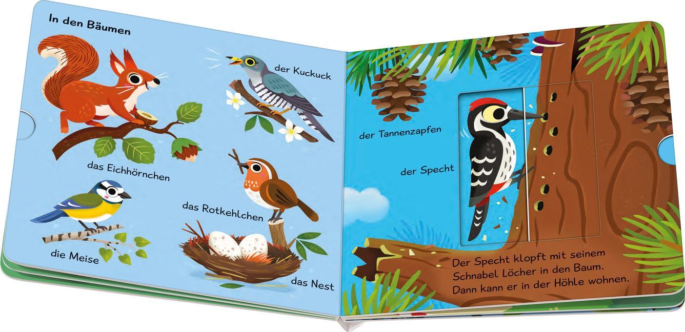 Meine ersten Wörter / Meine ersten Wörter vom Wald - Sprechen lernen mit großen Schiebern und Sachwissen für Kinder ab 12 Monaten