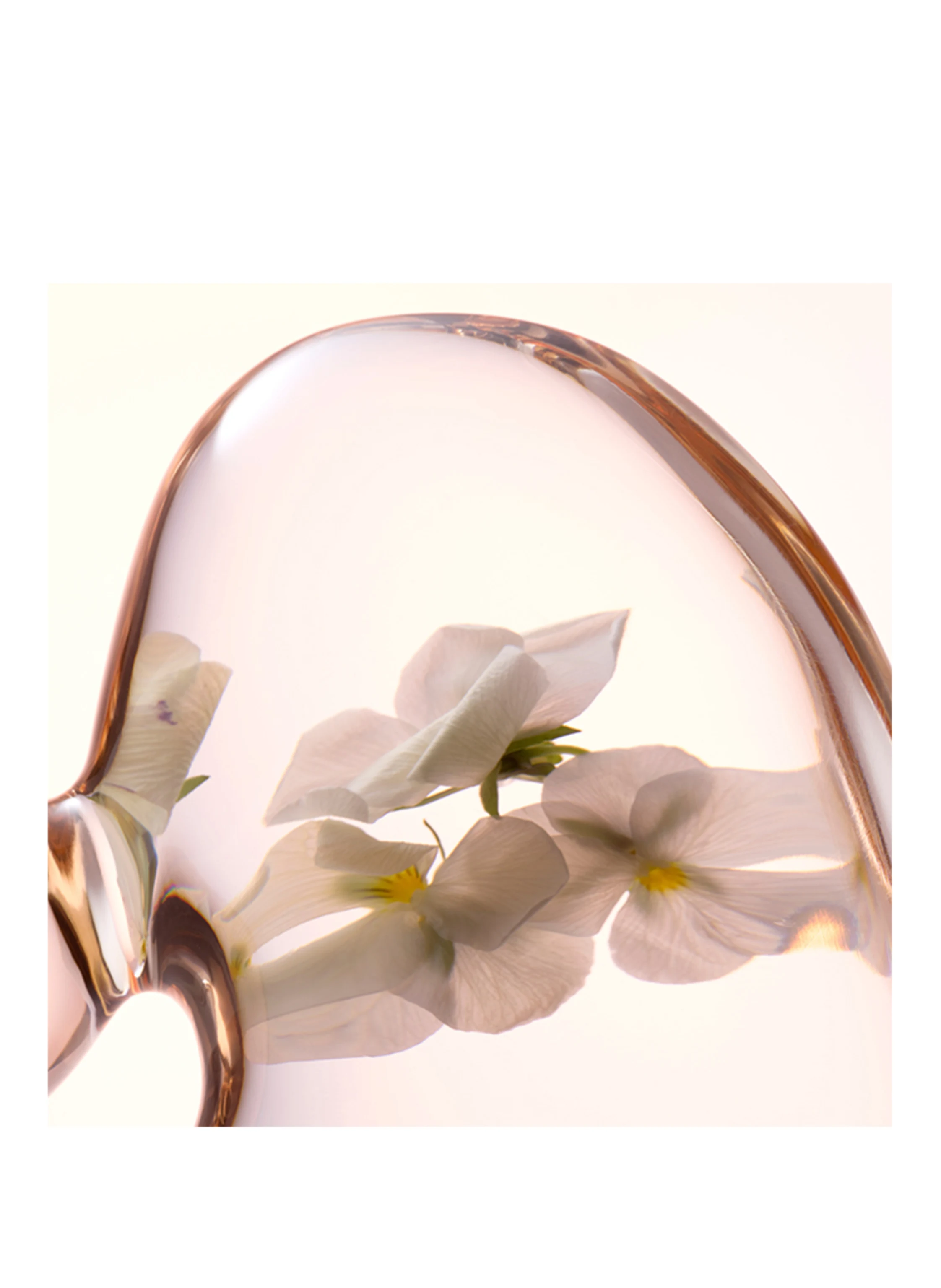 LANCASTER SOFTENING PERFECTING TONER