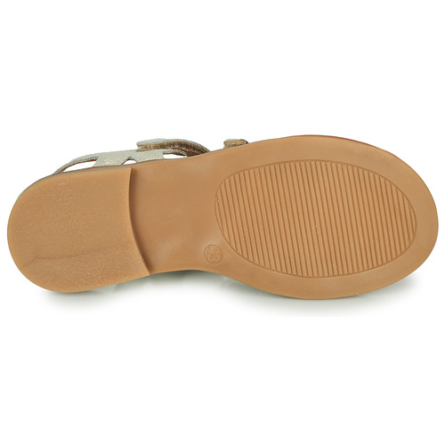 GBB - KATAGAMI - Beige / Doré