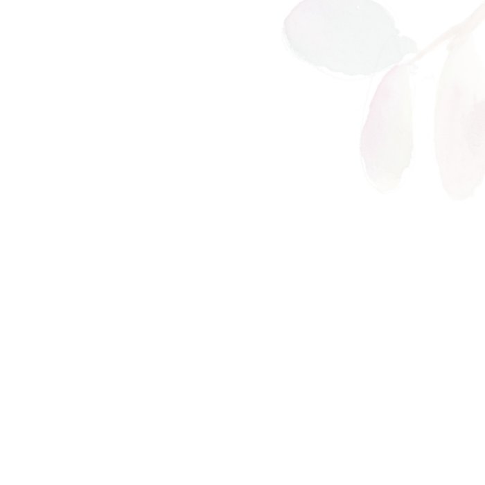 Michelle Dujardin | Condoleancekaart | plant