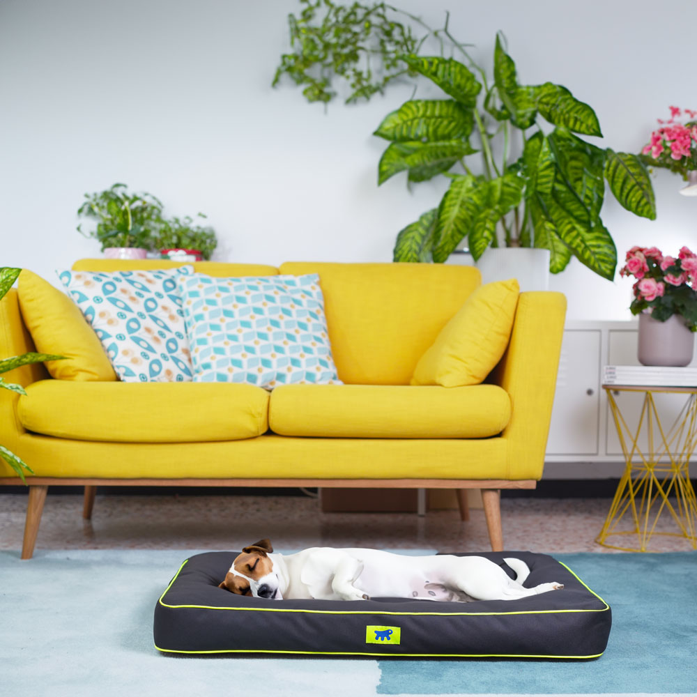 Ferplast panier chien chat - coussin orthopédique chien - lavable en machine - tapis chien - lit chat chien - imperméable &