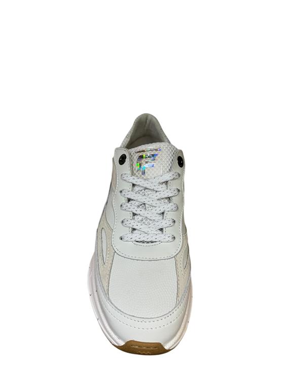 Floris van Bommel SFW-10101 white