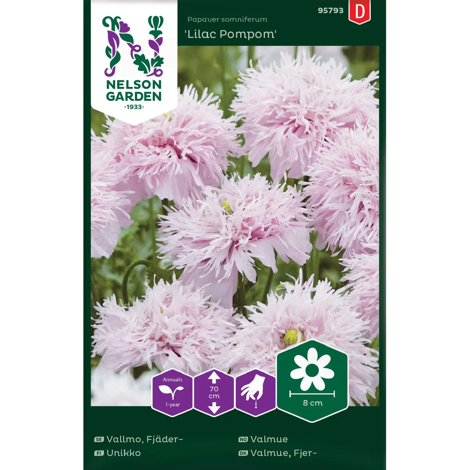 Papaver somniferum 'Black Peony' Valmue 'Lilac Pompom'