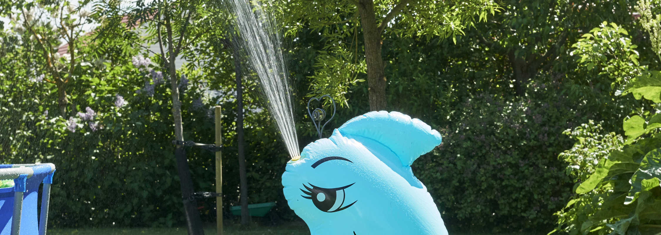 Delfin som spruter vann