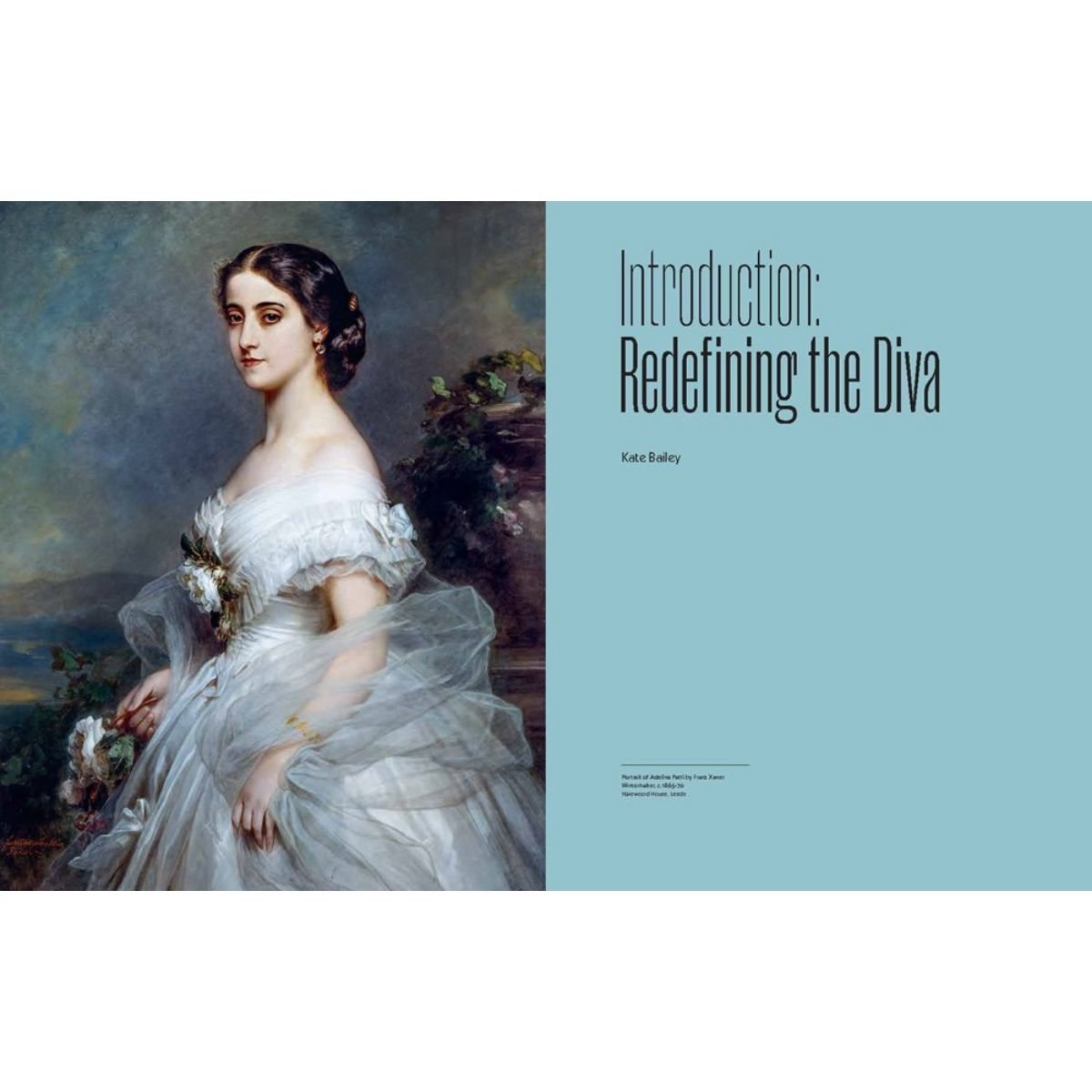 Diva (Hardback)
