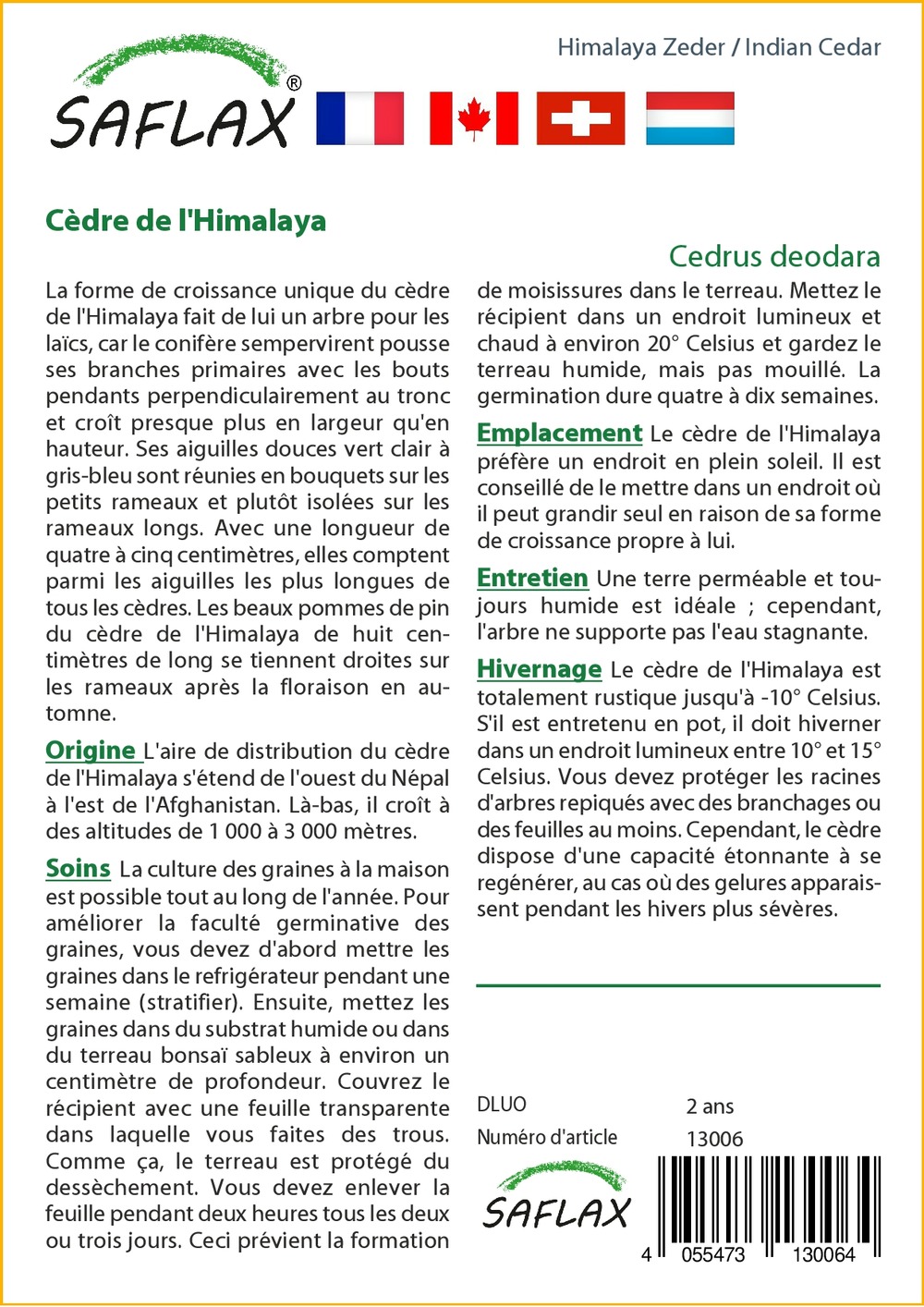 Kit cadeau - cèdre de l'himalaya - 35 graines - cedrus deodara