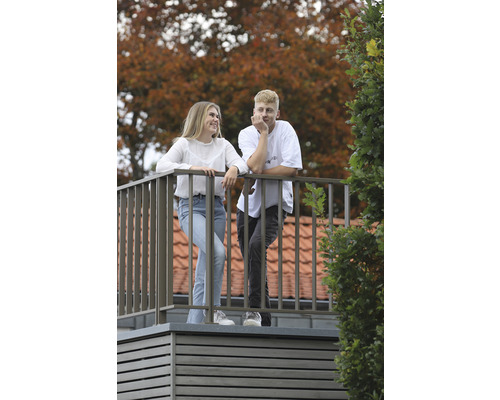Pertura Triton taupe L-vormige aluminium leuning complete set voor vloermontage, 2,5 m