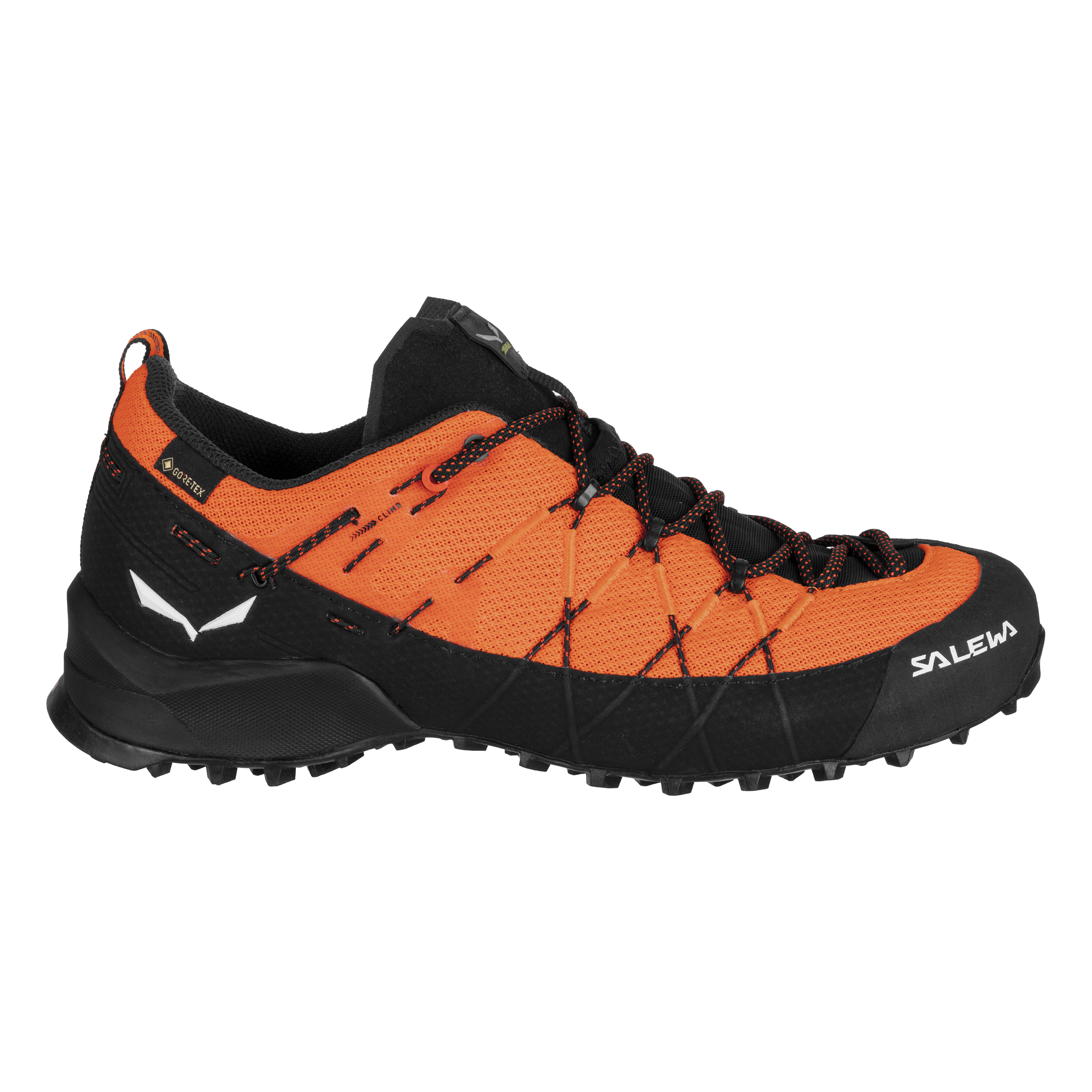 Wildfire 2 Gore-Tex® Schuh Herren