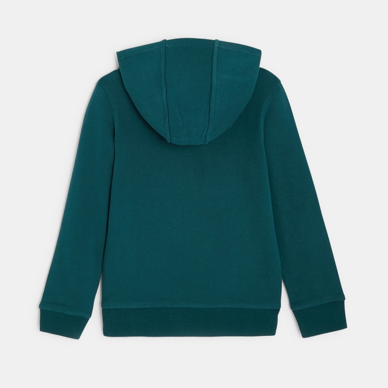 Sweat-shirt à capuche 