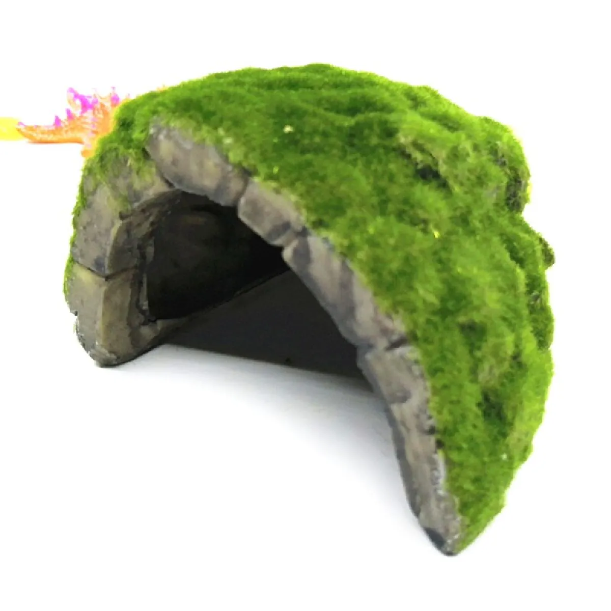 Universal Reptiles Grotte Décoration