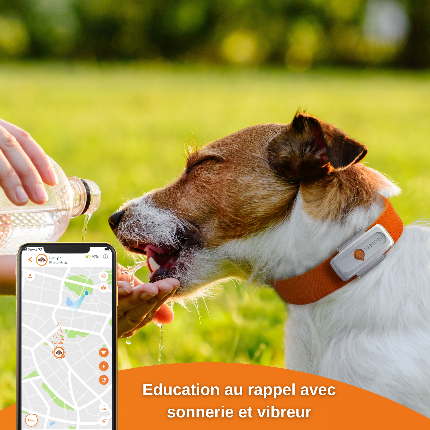 XS - collier gps pour chien ( white edition 2023)