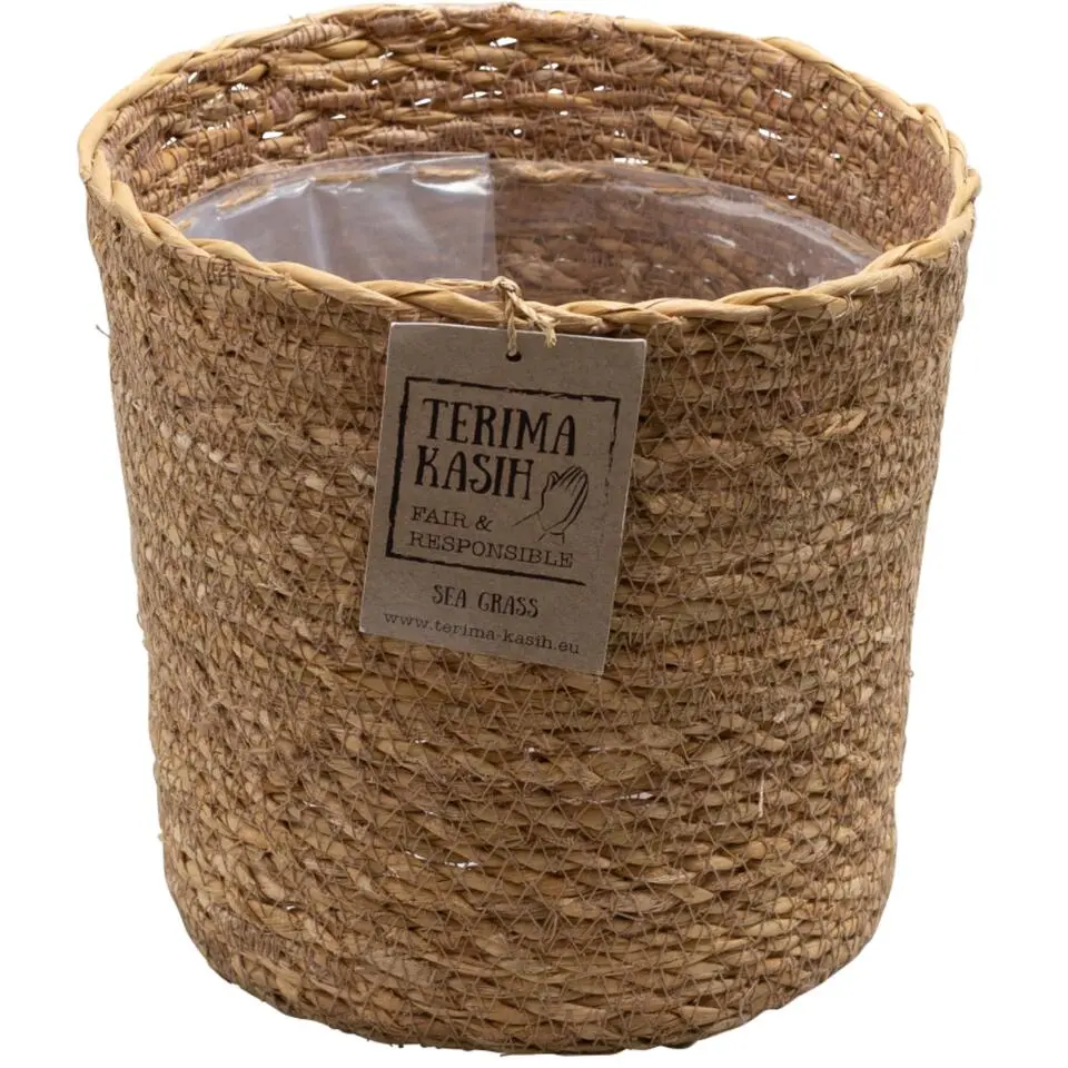 Luchtzuiverende kamerplanten - Set van 5 - Met mand - Hoogte 25-40cm - ⌀12cm
