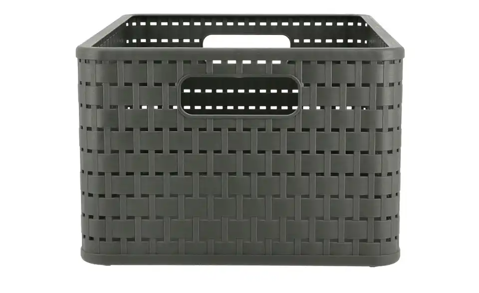 Rotho Aufbewahrungsbox 27,8 cm