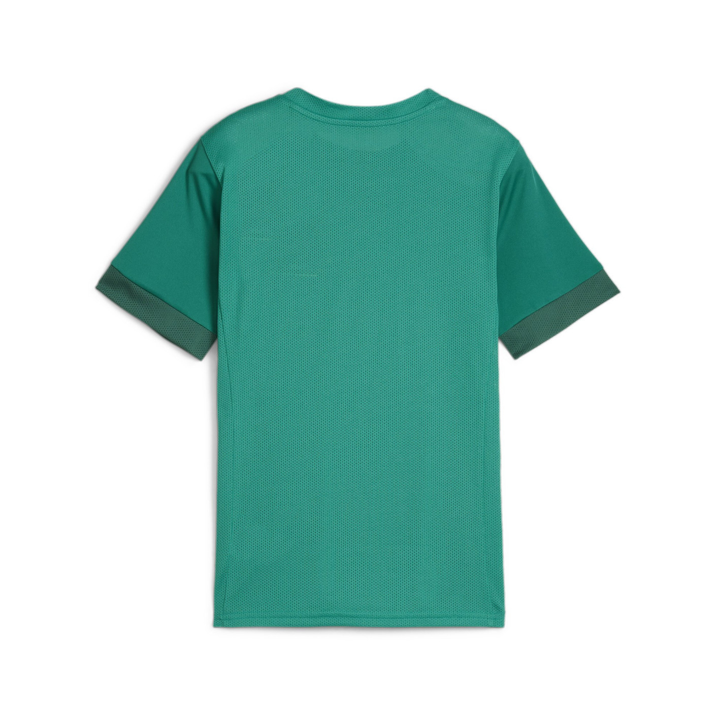 PUMA teamGOAL Matchday Voetbaltenue Kids Groen Wit