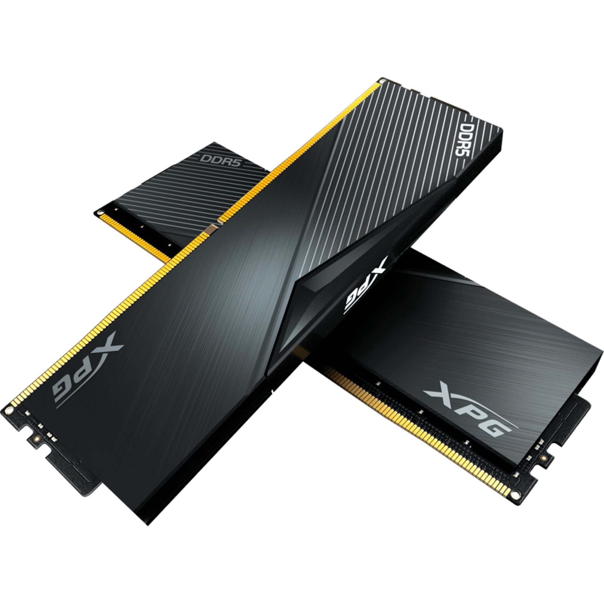 ADATA Arbeitsspeicher DIMM 32 GB DDR5-5600 (1x 32 GB)