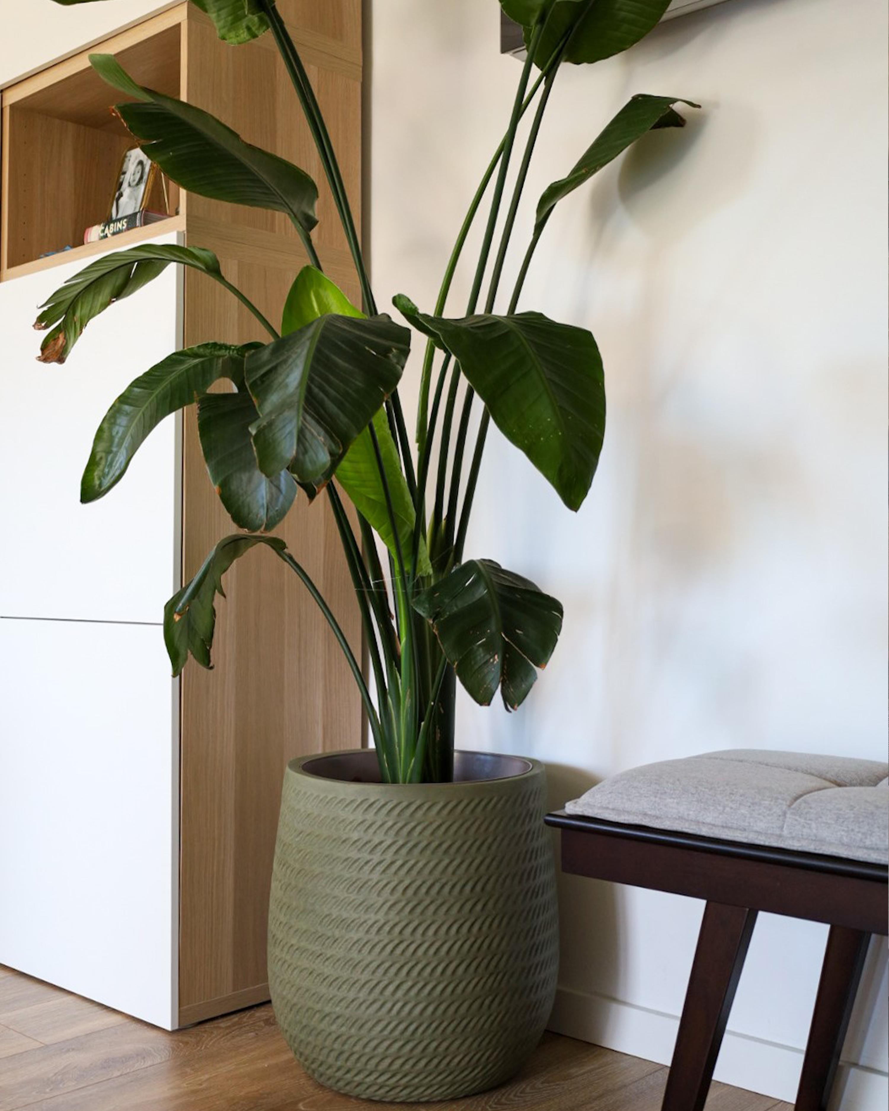 Bloempot LIVADIA 39 cm Olijfgroen