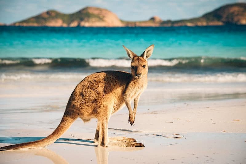 Roadtrip Australië