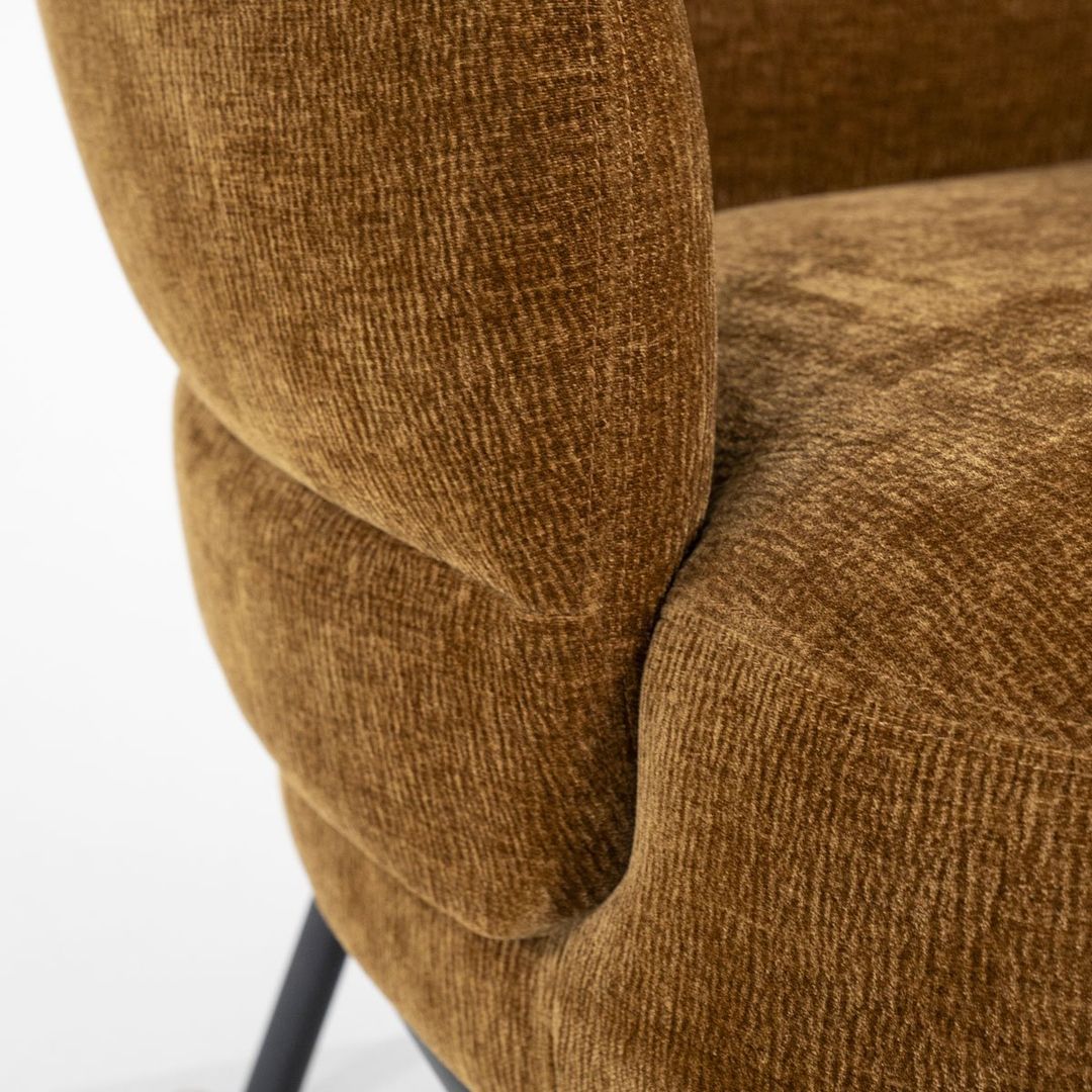 Eleonora   David Fauteuil