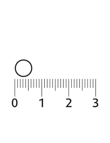 Melatonine tabletjes 299 mcg