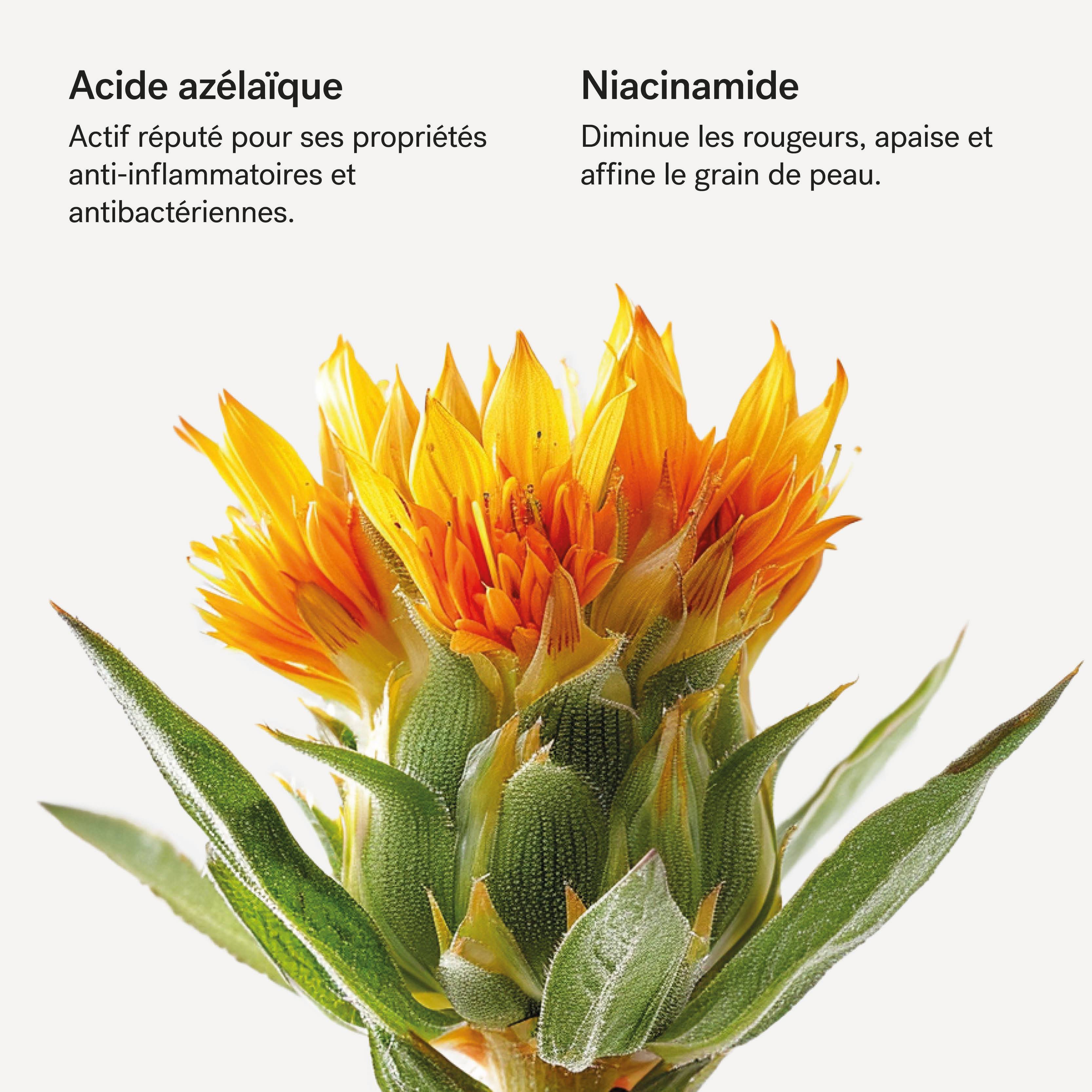 C40 - Crème visage anti-rougeurs<br>Acide azélaïque 5% + Niacinamide