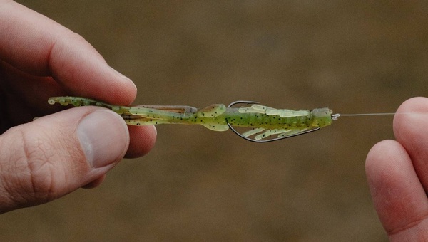 Ensemble Jaeger Perch Go Kit 2.04 (5-15g)