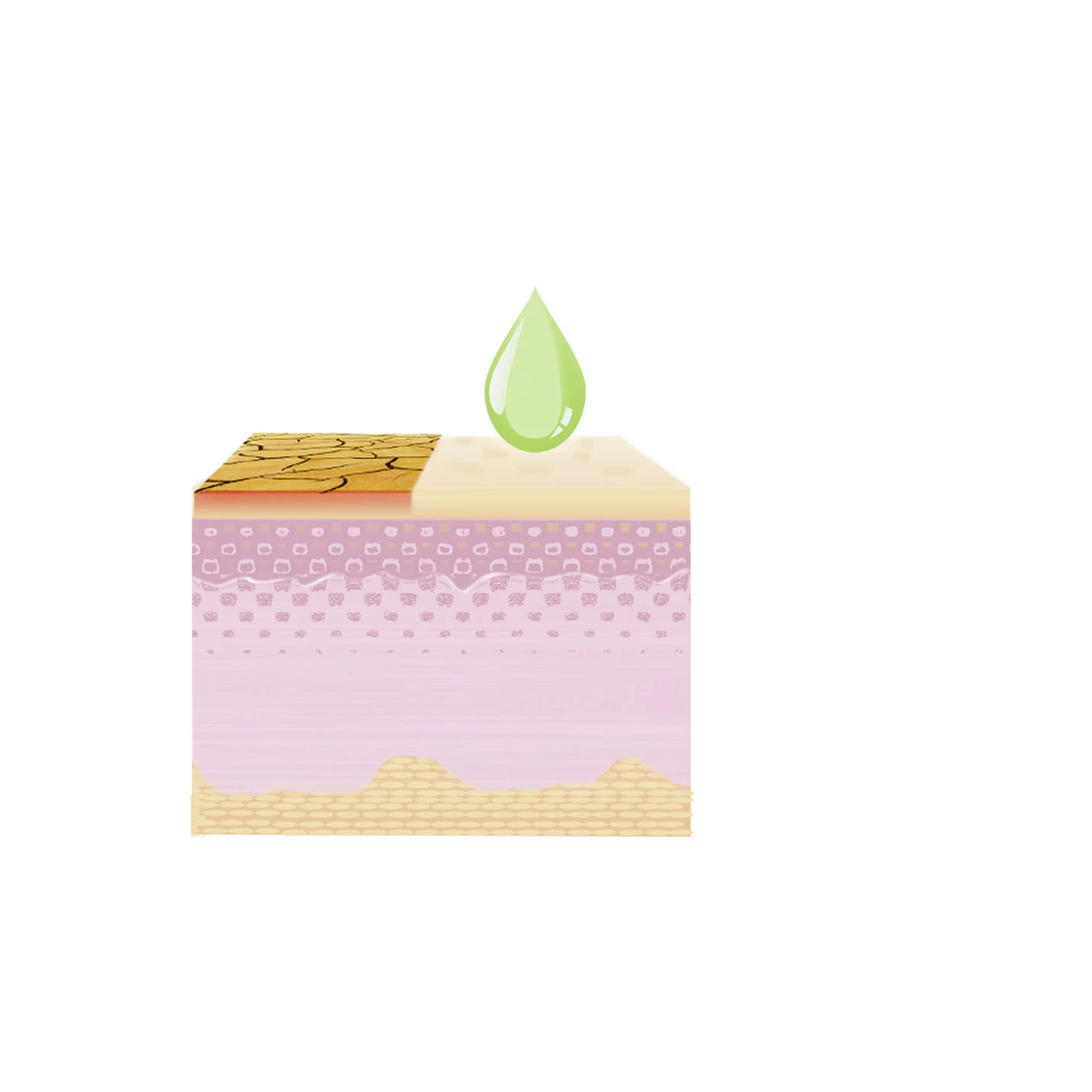 Ringelblumencreme,2er-Set