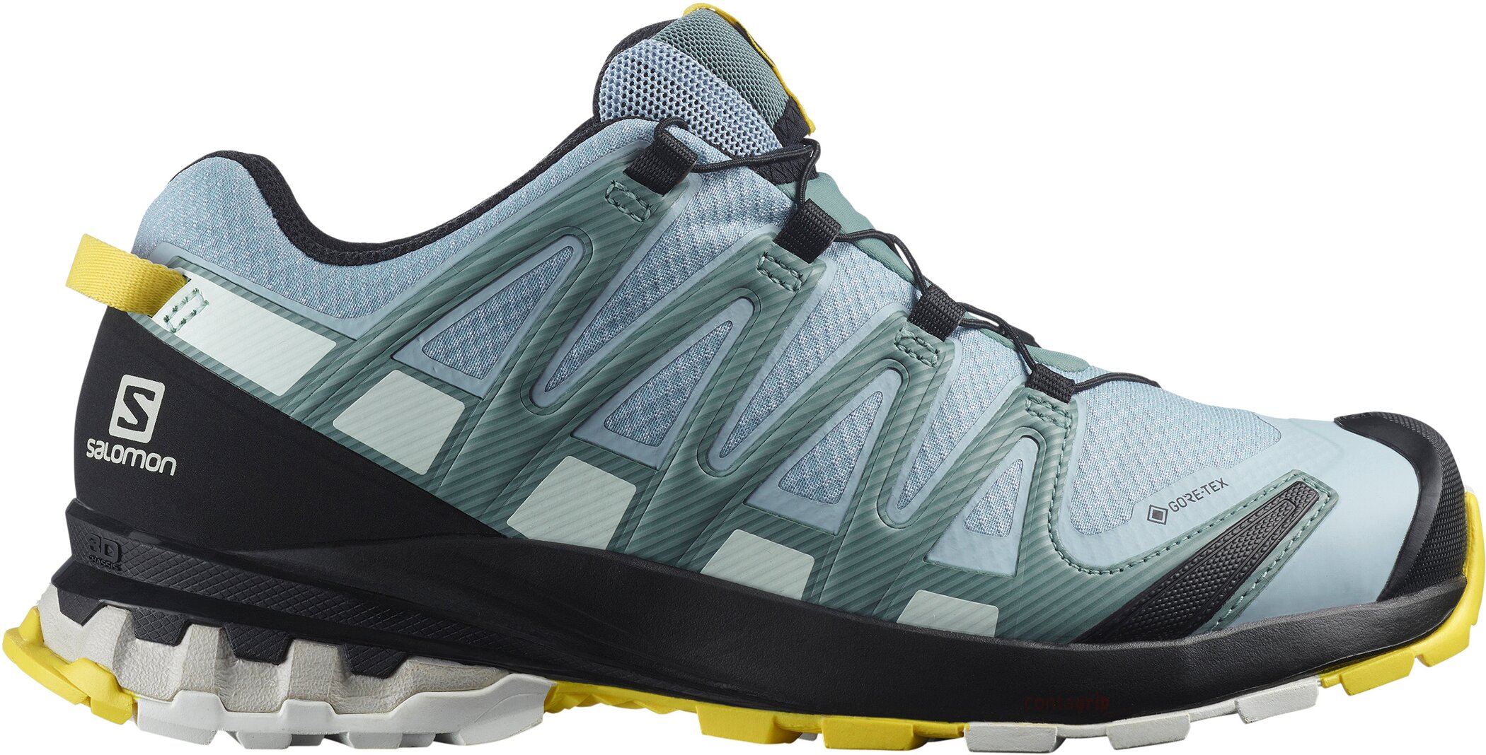 Salomon XA Pro 3D v8 GTX
