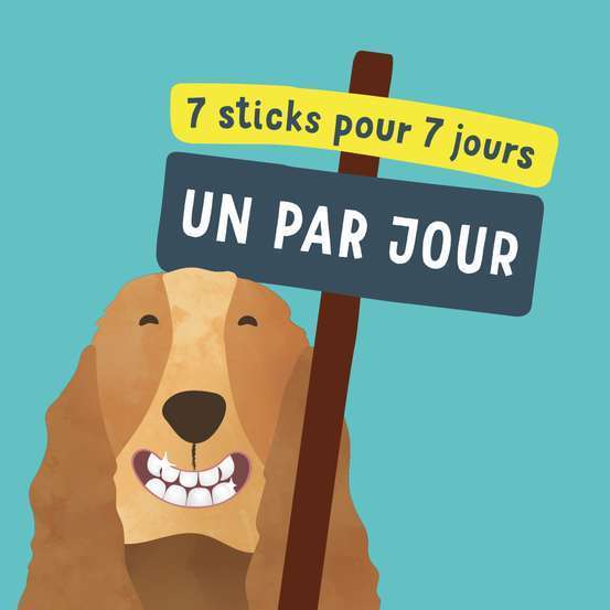 Mâch'Sticks Moyen Chien Pomme & Huile Eucalyptus 160g