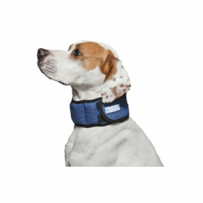 Collier rafraîchissant Aqua Coolkeeper pour chien