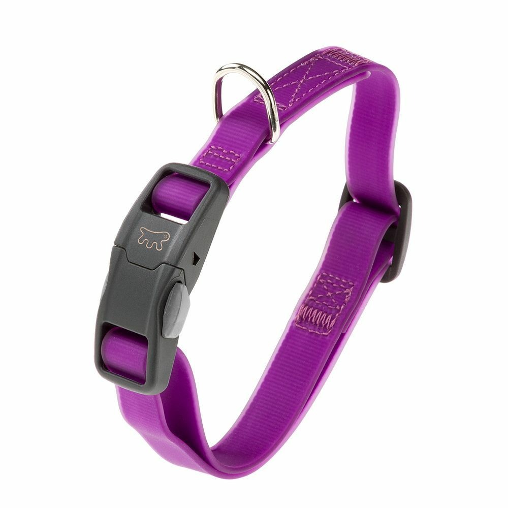 Collier pour chiens evolution c16/44 avec boucle magnétique, hypoallergénique, lavable, violet