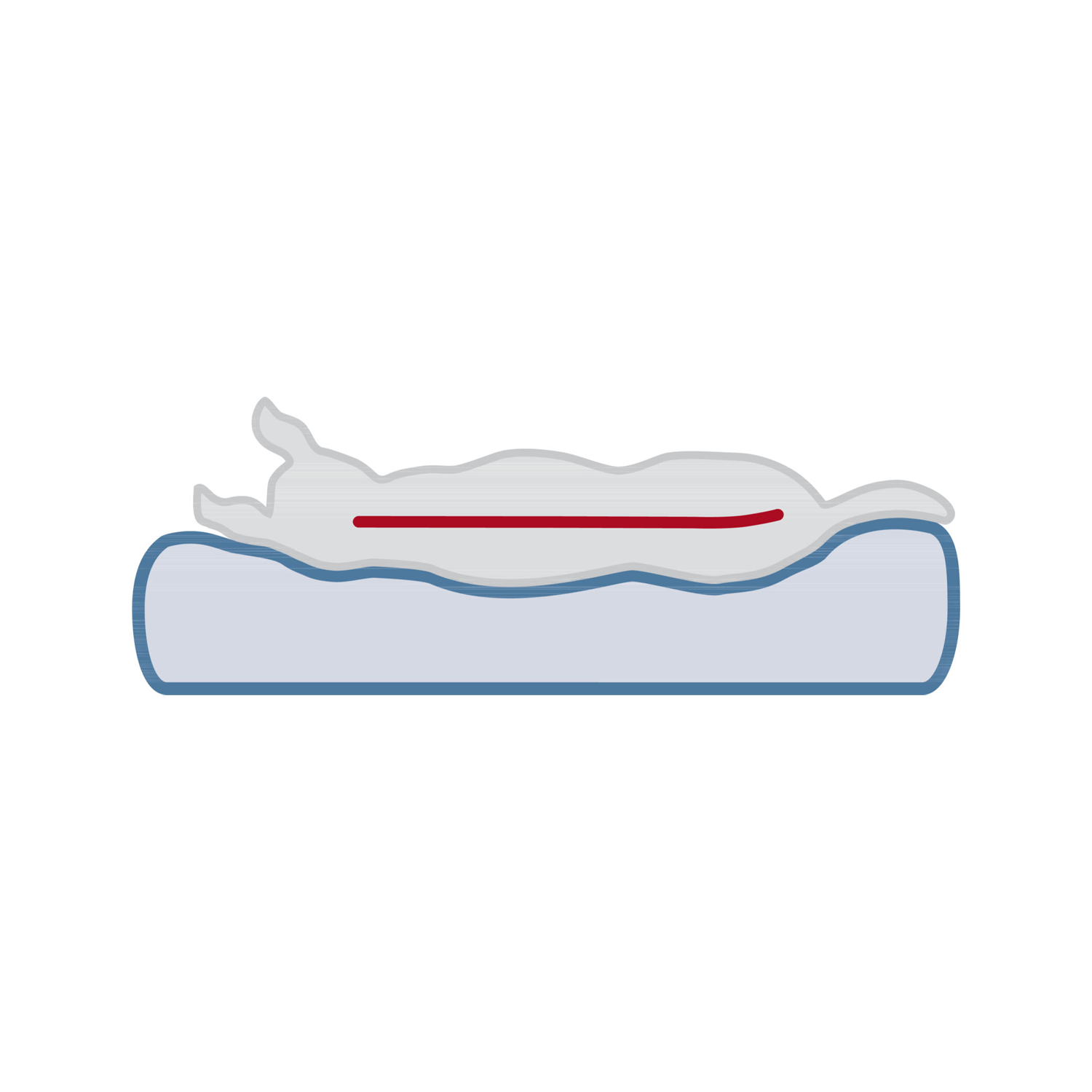 Trixie Vitaal Orthopedisch Matras Lonni
