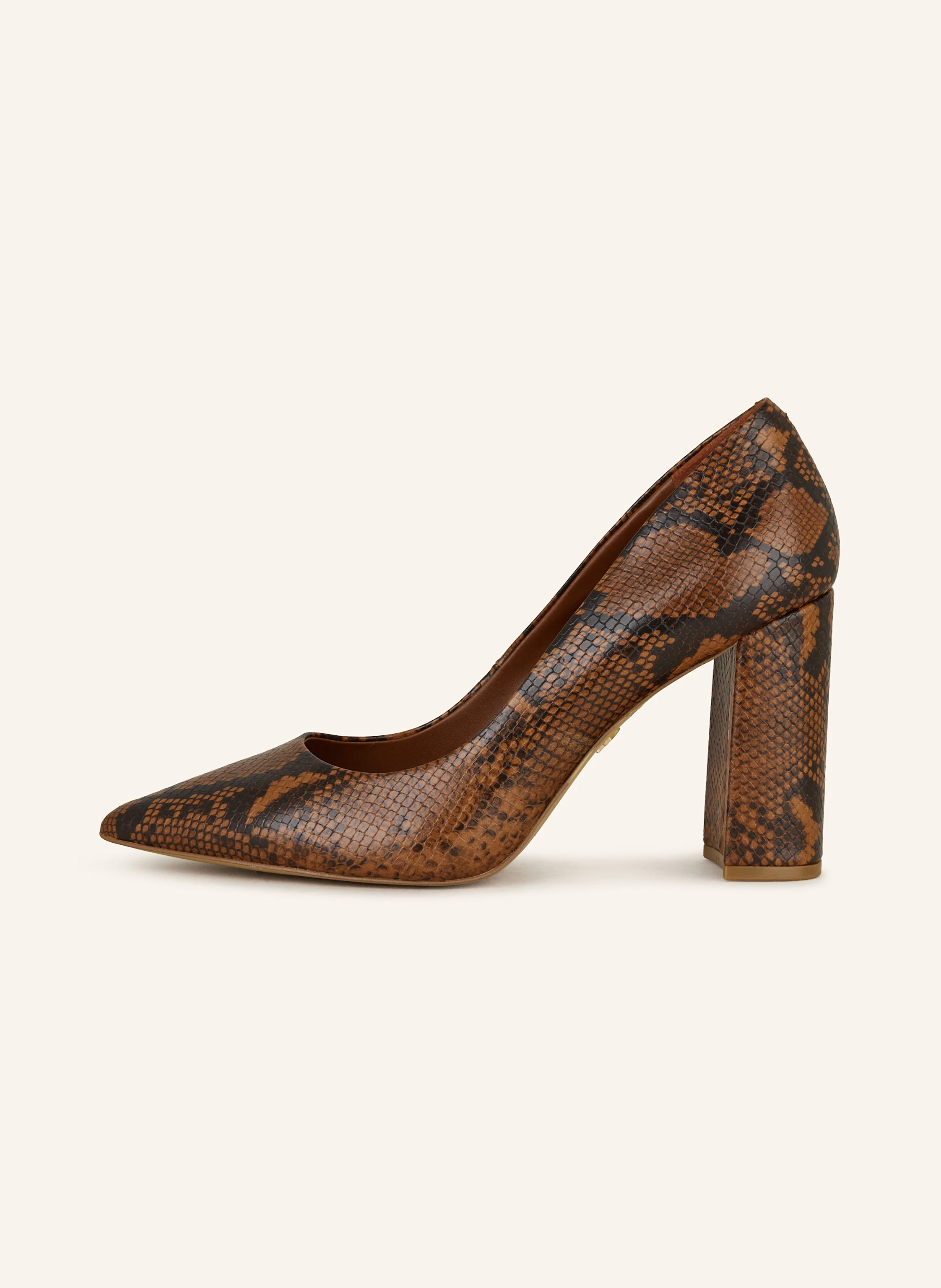 ALDO Pumps JAVABRIRYN