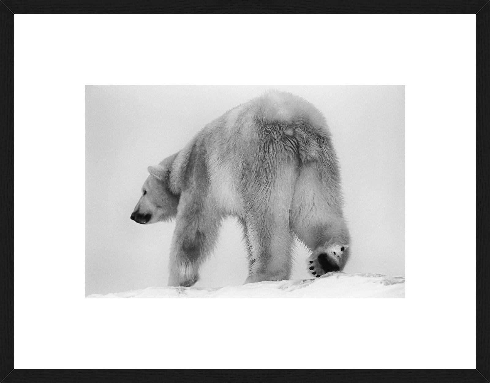 The Wanderer by Heidi & Hans - Jürgen Koch - Limited Edition. Edition of: 150. Signed.