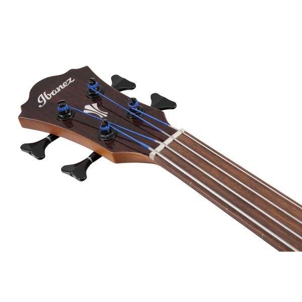 Ibanez AEGB24FE-MHS Fretless