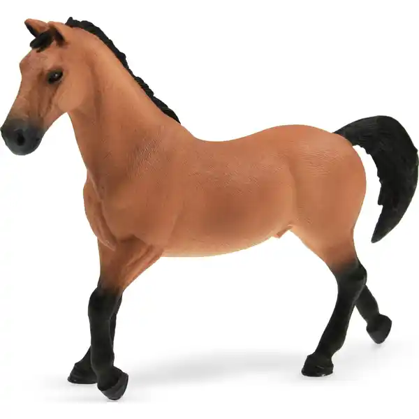 72136 Trakehner Hengst