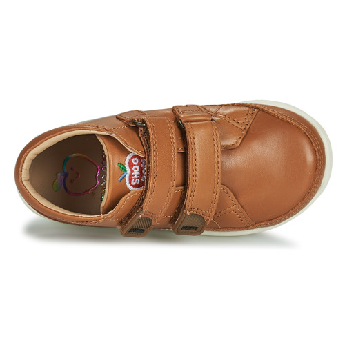 Shoo Pom - CUPY SCRATCH - Marron