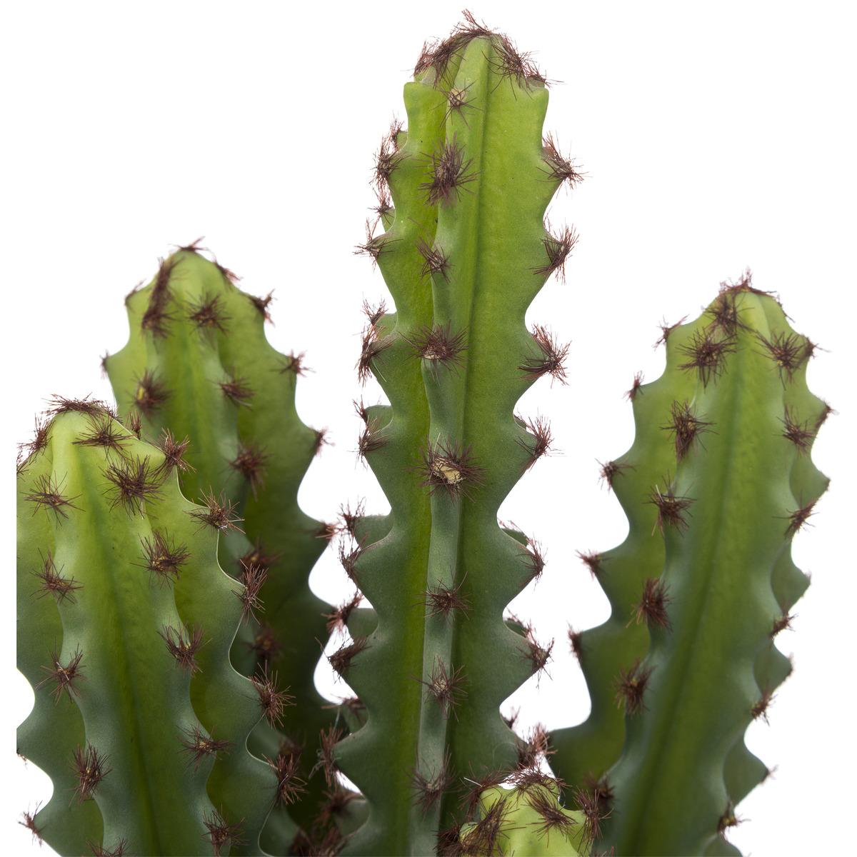 CACTUS POT TERRACOTTA ALICANTE H.25CM