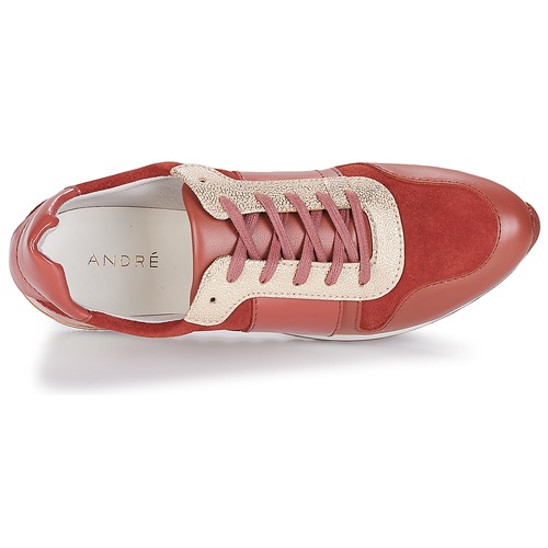 André - SPRINT - Rose