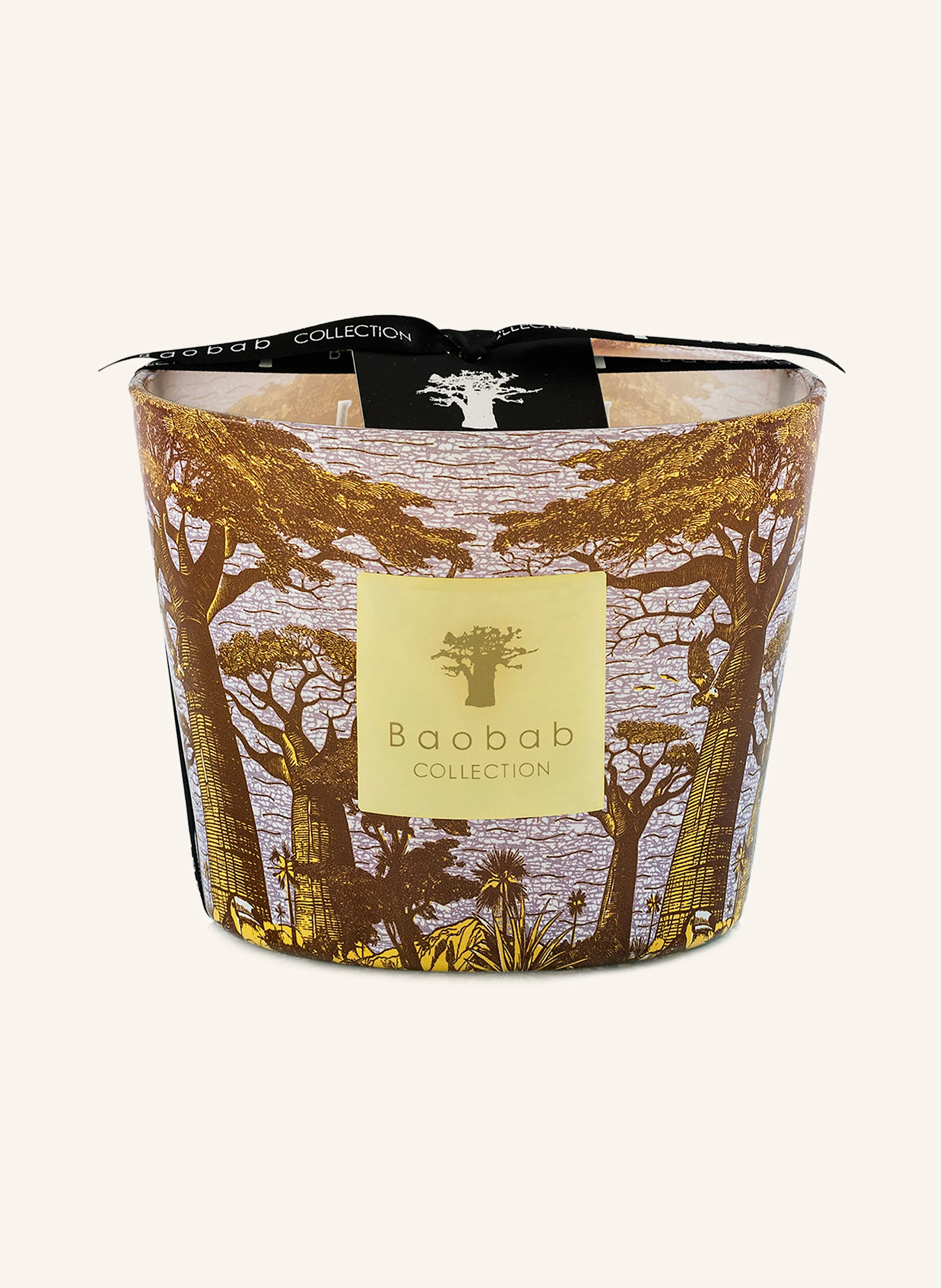 Baobab COLLECTION Duftkerze COCODY