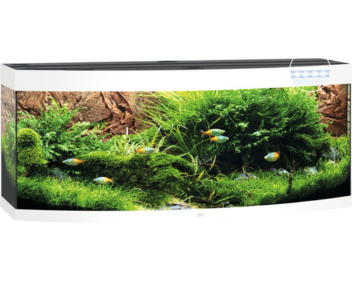 JUWEL Vision 450 aquarium inclusief LED-verlichting, verwarming, filter, zonder kast, wit