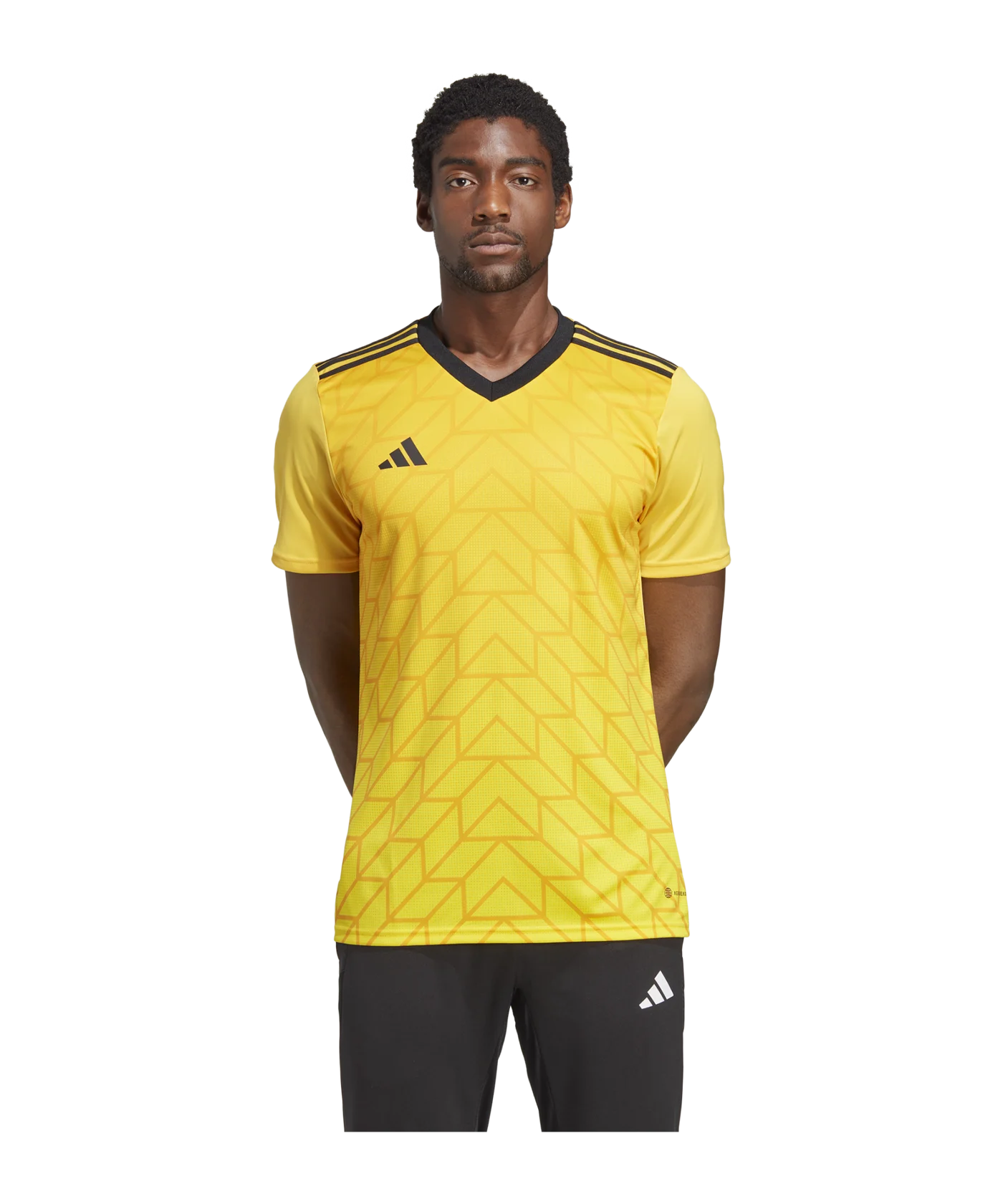 adidas Team Icon 23 Trikot Gold