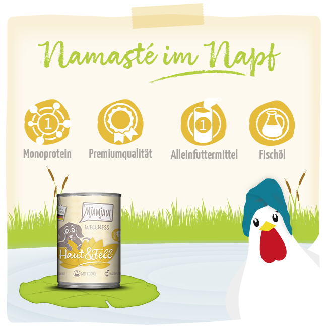 Wellness - Haut & Fell - Huhn