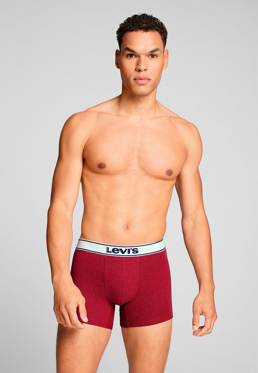 Conjunto de 2 cuecas boxer lisas da Levi's