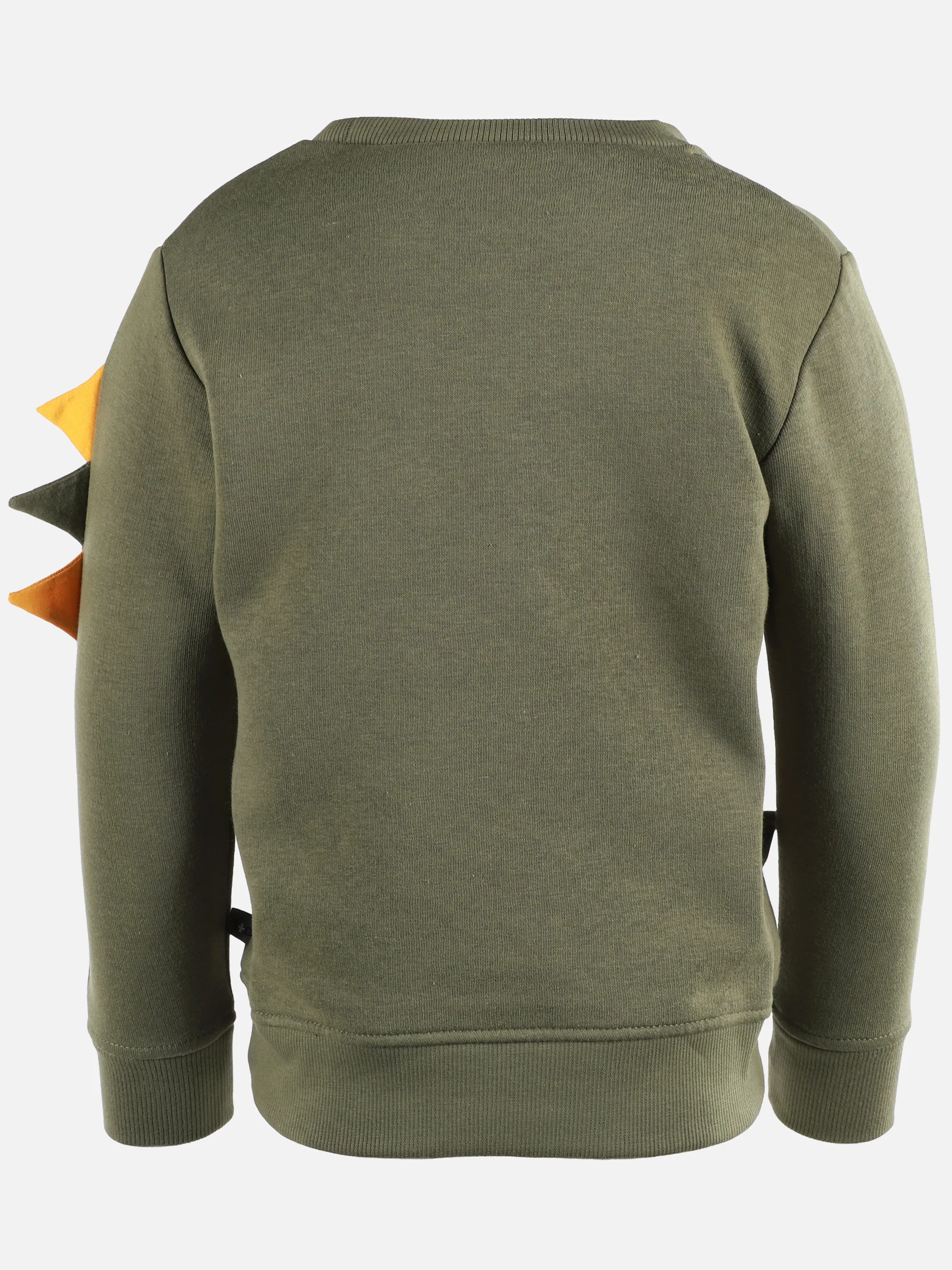Jungen Sweatshirt mit Dinoprint