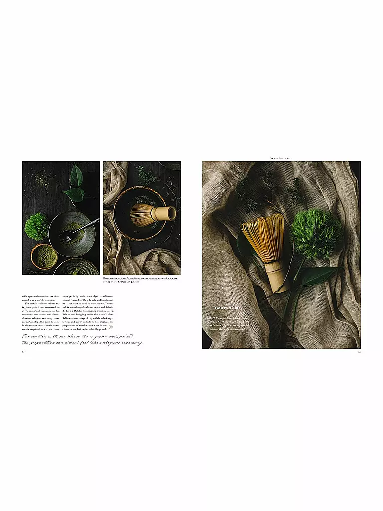 SUITE Buch - The Delicious - A Companion to New Food Culture keine Farbe