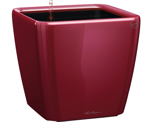 Lechuza Quadro plantenbak 21 x 21 x H 20 cm rood incl. zelfbewateringssysteem, plantenbak, substraat en waterniveau-indicator