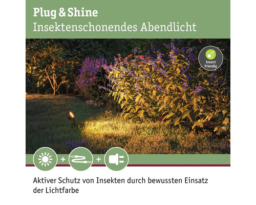 Paulmann Plug & Shine LED-tuinspot starterset, insectvriendelijk, 3 x 6,3 W, 280 lm, 2200 K, Sting antraciet, 230/24 V