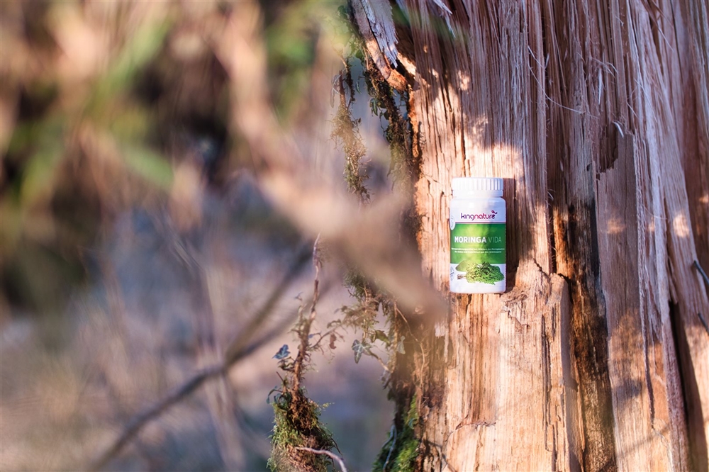 KINGNATURE Moringa Vida (Bio) Kaps 72 Stk