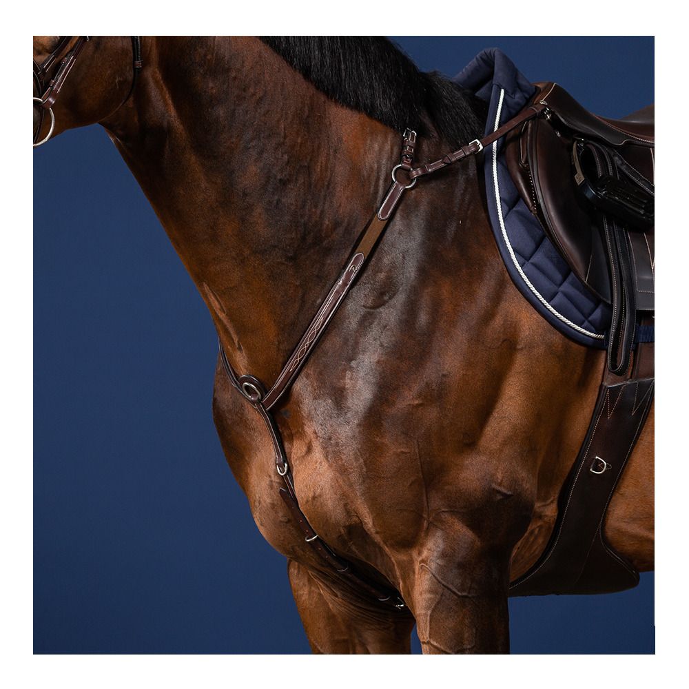 Dy'on US COLLECTION - Collier de chasse À pont brun